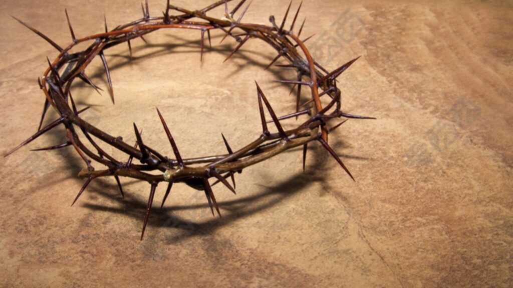 图像9-23-24 下午4.51 Banner